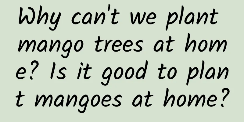 Why can't we plant mango trees at home? Is it good to plant mangoes at home?