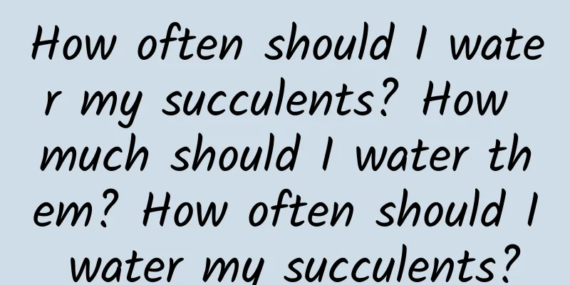 How often should I water my succulents? How much should I water them? How often should I water my succulents?