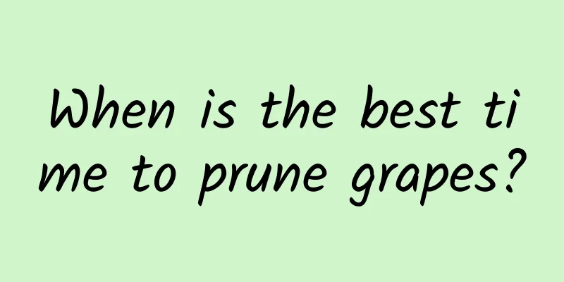 When is the best time to prune grapes?