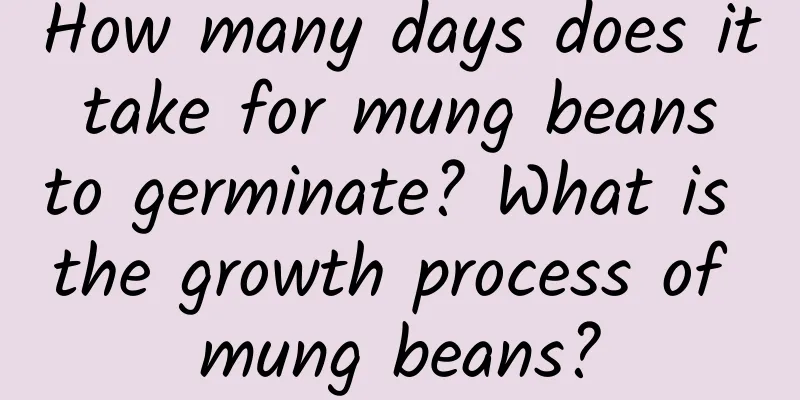 How many days does it take for mung beans to germinate? What is the growth process of mung beans?