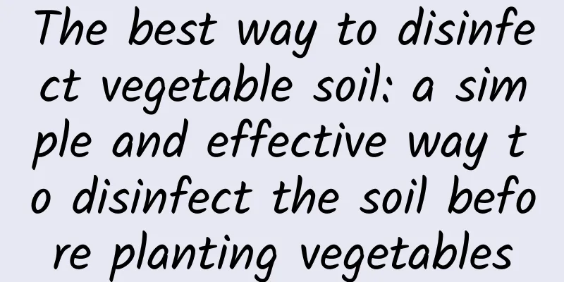 The best way to disinfect vegetable soil: a simple and effective way to disinfect the soil before planting vegetables