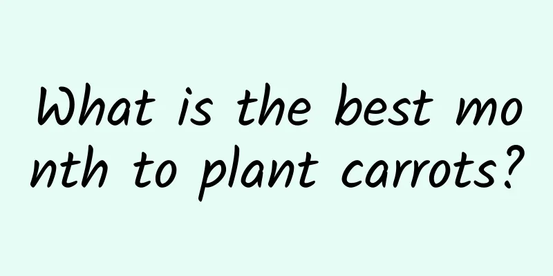 What is the best month to plant carrots?