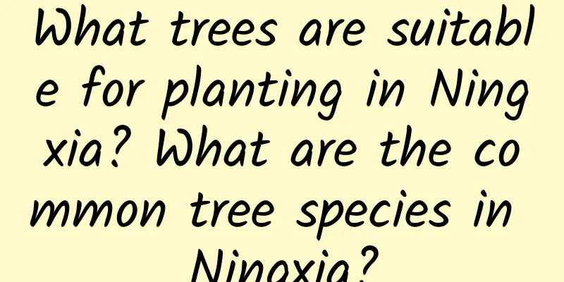What trees are suitable for planting in Ningxia? What are the common tree species in Ningxia?
