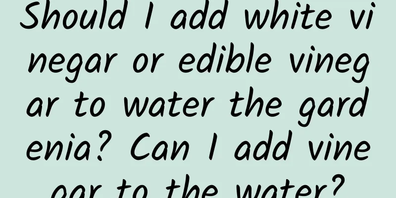 Should I add white vinegar or edible vinegar to water the gardenia? Can I add vinegar to the water?