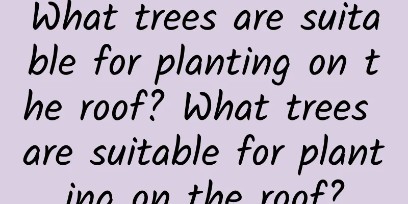 What trees are suitable for planting on the roof? What trees are suitable for planting on the roof?