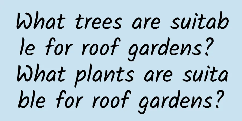 What trees are suitable for roof gardens? What plants are suitable for roof gardens?
