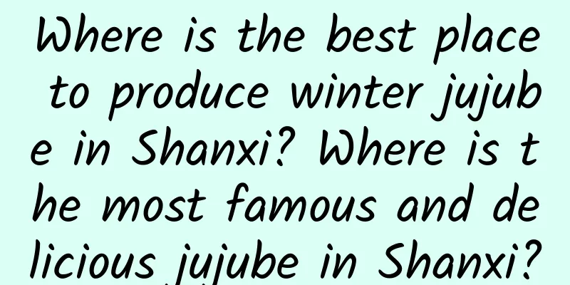 Where is the best place to produce winter jujube in Shanxi? Where is the most famous and delicious jujube in Shanxi?