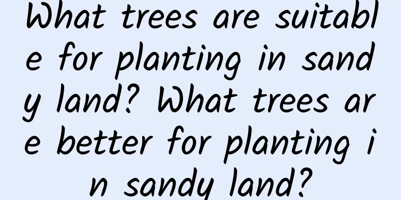 What trees are suitable for planting in sandy land? What trees are better for planting in sandy land?