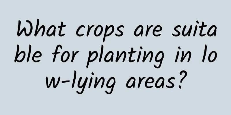 What crops are suitable for planting in low-lying areas?