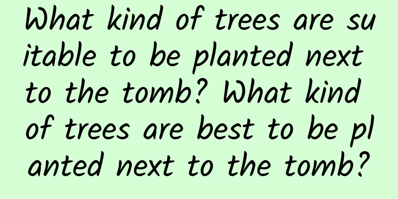 What kind of trees are suitable to be planted next to the tomb? What kind of trees are best to be planted next to the tomb?