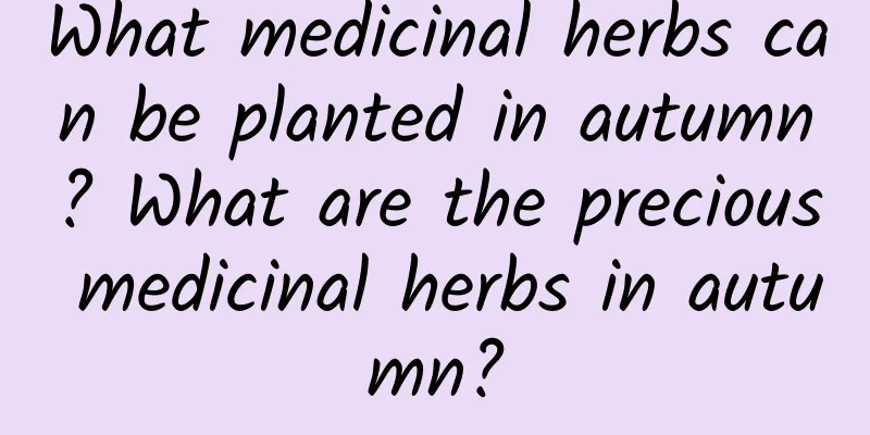What medicinal herbs can be planted in autumn? What are the precious medicinal herbs in autumn?