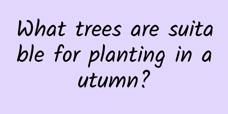 What trees are suitable for planting in autumn?