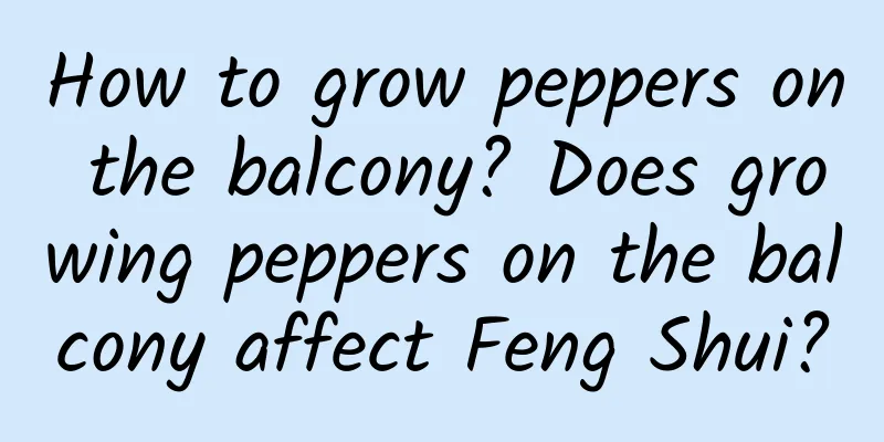 How to grow peppers on the balcony? Does growing peppers on the balcony affect Feng Shui?
