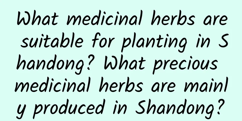 What medicinal herbs are suitable for planting in Shandong? What precious medicinal herbs are mainly produced in Shandong?