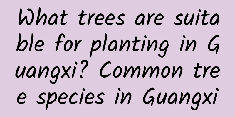 What trees are suitable for planting in Guangxi? Common tree species in Guangxi
