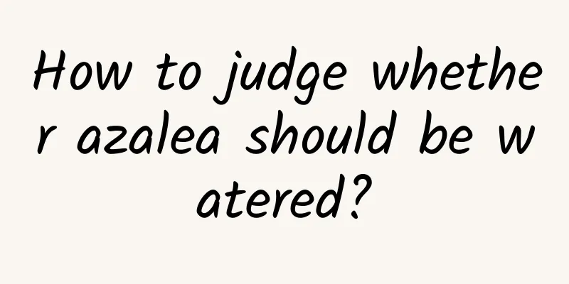 How to judge whether azalea should be watered?