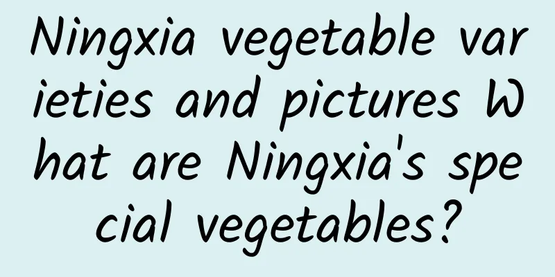Ningxia vegetable varieties and pictures What are Ningxia's special vegetables?