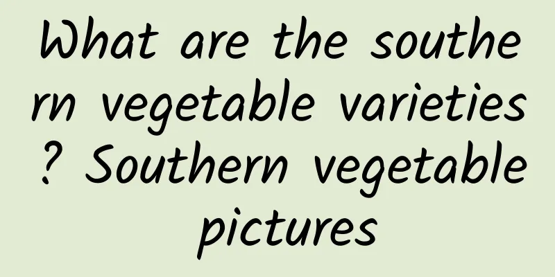 What are the southern vegetable varieties? Southern vegetable pictures