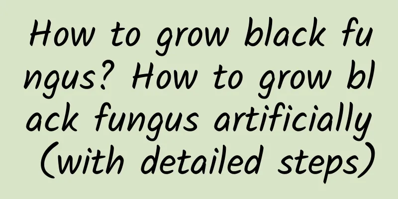 How to grow black fungus? How to grow black fungus artificially (with detailed steps)