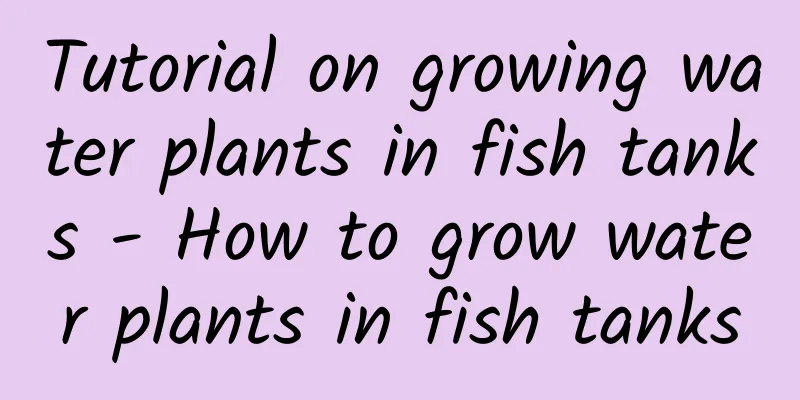 Tutorial on growing water plants in fish tanks - How to grow water plants in fish tanks