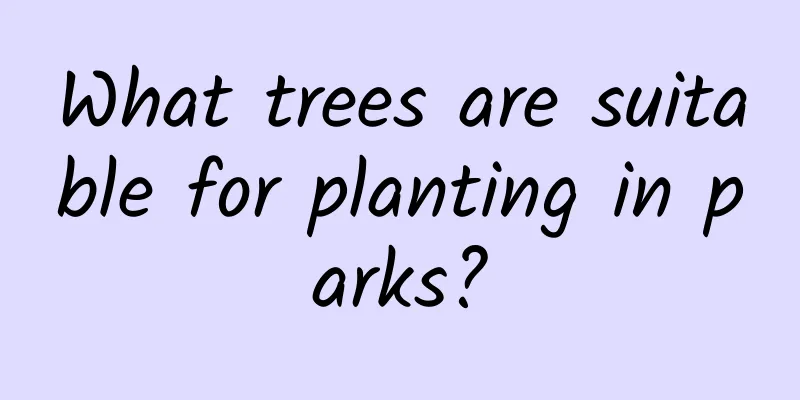 What trees are suitable for planting in parks?