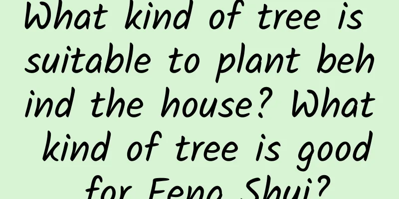 What kind of tree is suitable to plant behind the house? What kind of tree is good for Feng Shui?