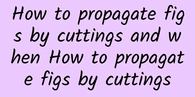 How to propagate figs by cuttings and when How to propagate figs by cuttings