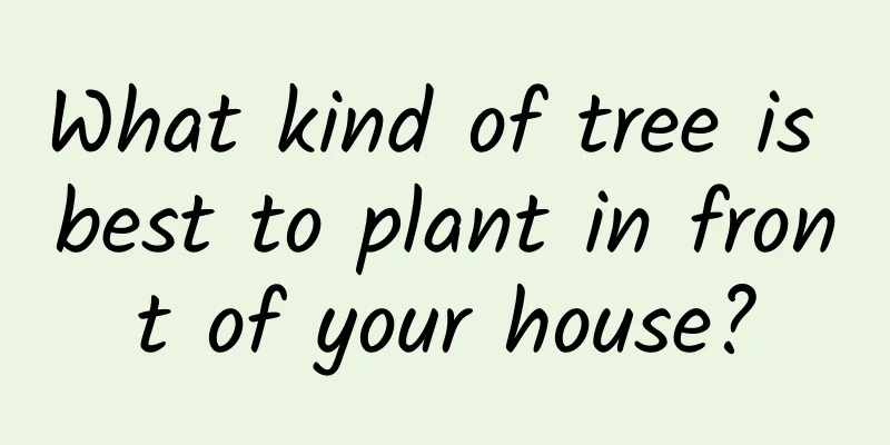 What kind of tree is best to plant in front of your house?