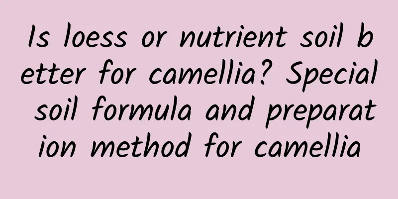 Is loess or nutrient soil better for camellia? Special soil formula and preparation method for camellia