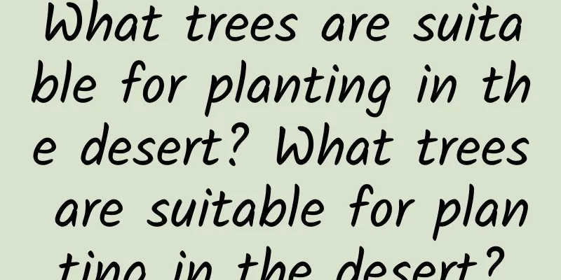 What trees are suitable for planting in the desert? What trees are suitable for planting in the desert?