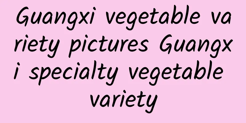 Guangxi vegetable variety pictures Guangxi specialty vegetable variety