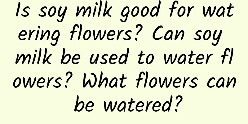 Is soy milk good for watering flowers? Can soy milk be used to water flowers? What flowers can be watered?