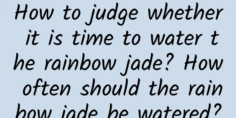 How to judge whether it is time to water the rainbow jade? How often should the rainbow jade be watered?