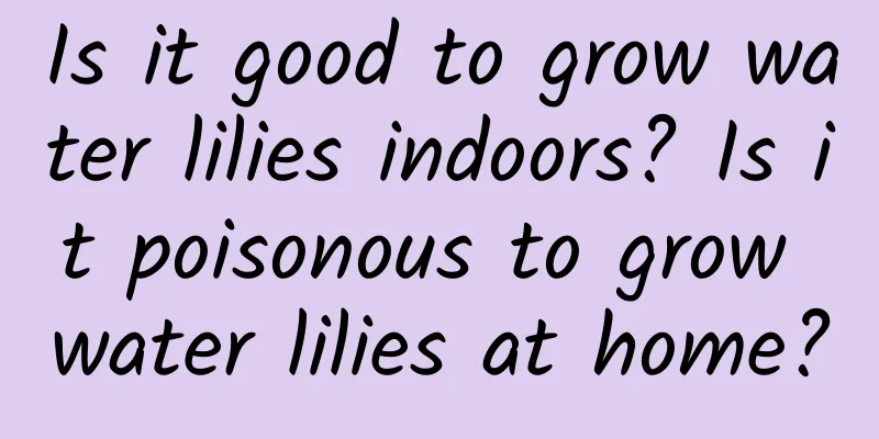 Is it good to grow water lilies indoors? Is it poisonous to grow water lilies at home?