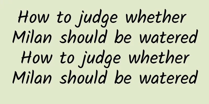 How to judge whether Milan should be watered How to judge whether Milan should be watered