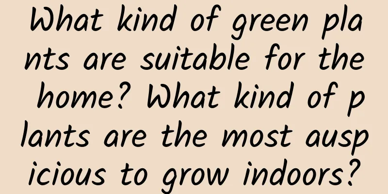 What kind of green plants are suitable for the home? What kind of plants are the most auspicious to grow indoors?
