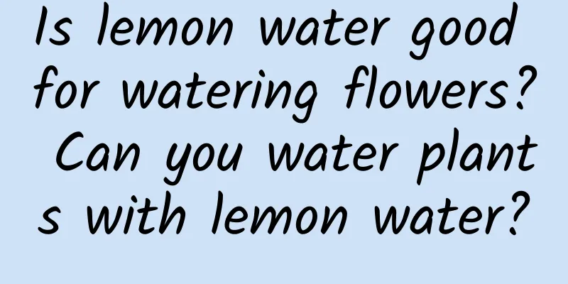 Is lemon water good for watering flowers? Can you water plants with lemon water?
