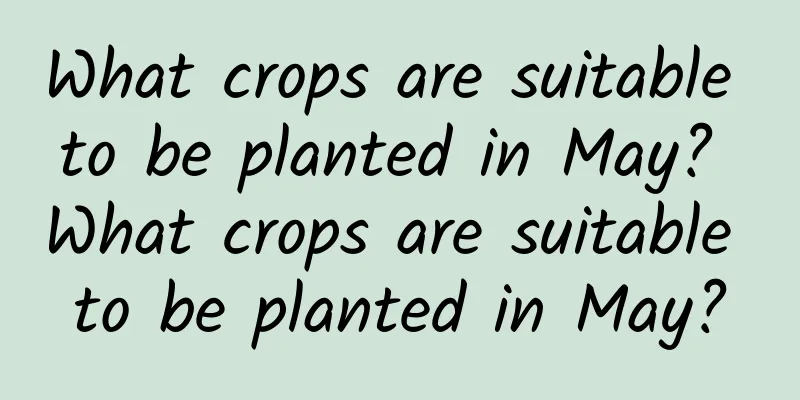 What crops are suitable to be planted in May? What crops are suitable to be planted in May?