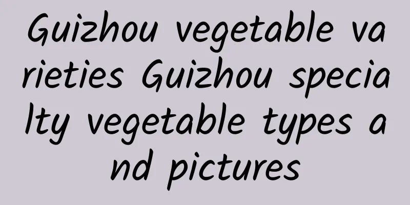 Guizhou vegetable varieties Guizhou specialty vegetable types and pictures