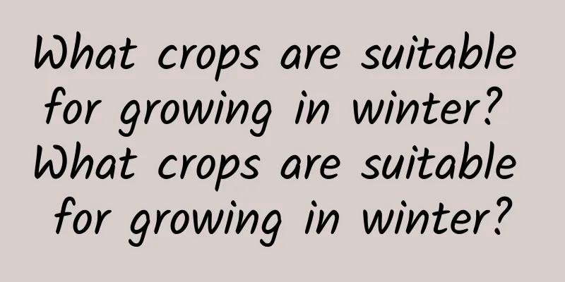 What crops are suitable for growing in winter? What crops are suitable for growing in winter?