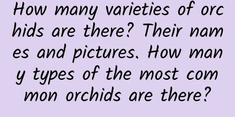 How many varieties of orchids are there? Their names and pictures. How many types of the most common orchids are there?