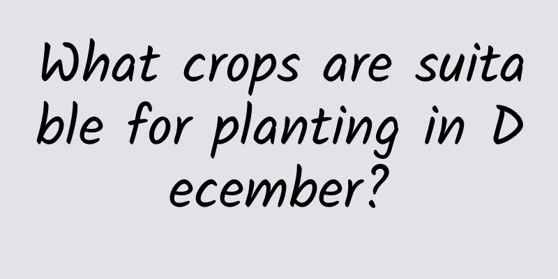 What crops are suitable for planting in December?