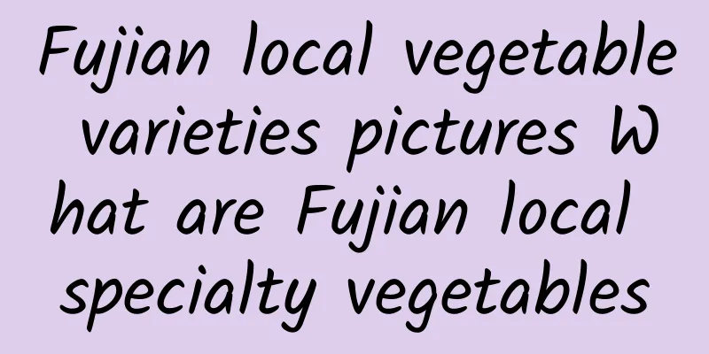 Fujian local vegetable varieties pictures What are Fujian local specialty vegetables