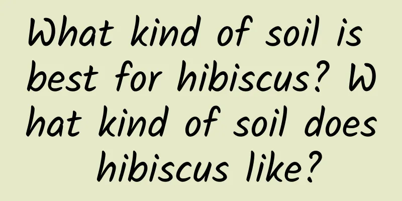 What kind of soil is best for hibiscus? What kind of soil does hibiscus like?