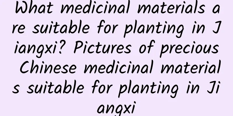 What medicinal materials are suitable for planting in Jiangxi? Pictures of precious Chinese medicinal materials suitable for planting in Jiangxi