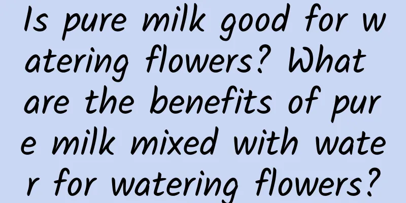 Is pure milk good for watering flowers? What are the benefits of pure milk mixed with water for watering flowers?