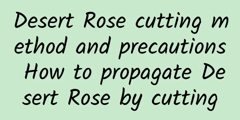 Desert Rose cutting method and precautions How to propagate Desert Rose by cutting