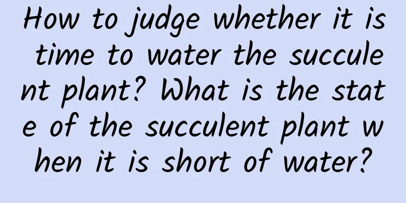 How to judge whether it is time to water the succulent plant? What is the state of the succulent plant when it is short of water?