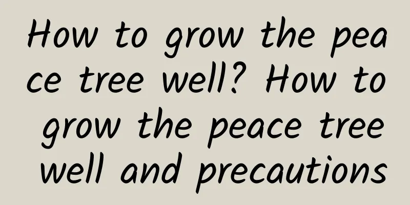 How to grow the peace tree well? How to grow the peace tree well and precautions