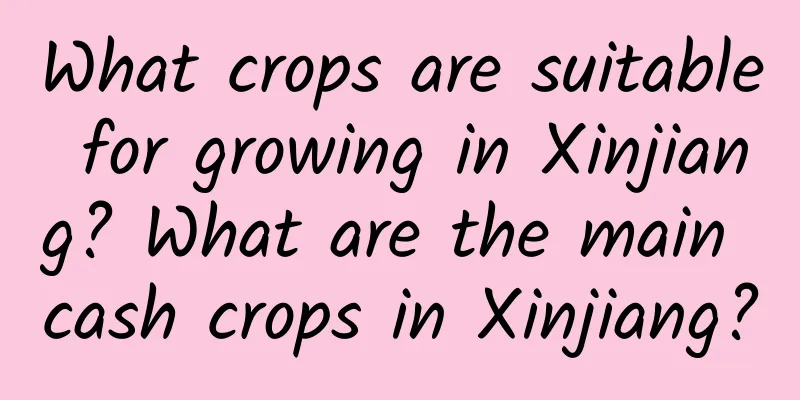 What crops are suitable for growing in Xinjiang? What are the main cash crops in Xinjiang?